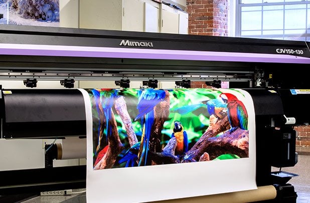 digital print window film